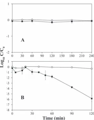 FIG. 6. Batch experiments (A) and retentates of membrane filtra- filtra-tion experiments (B) with bacteriophage MS2 suspended in tap water containing 5 g/liter of NaCl