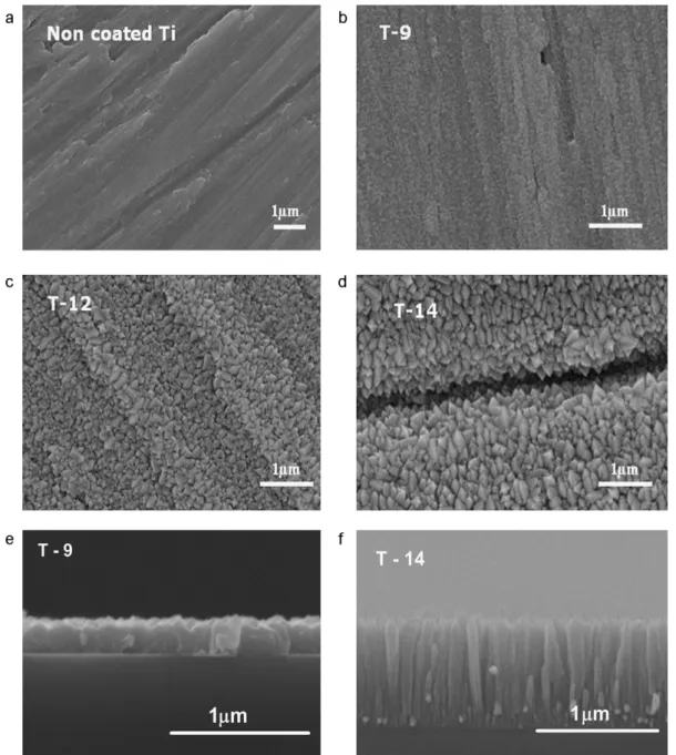 Fig. 1. Surface micrographs of (a) native-oxide covered Ti surface, and MOCVD-grown TiO 2 ﬁlms on Ti substrates for different periods of time: (b) 90 min; (c) 250 min, and (d) 360 min; and cross sectional views for the compact (e) and columnar (f) structur