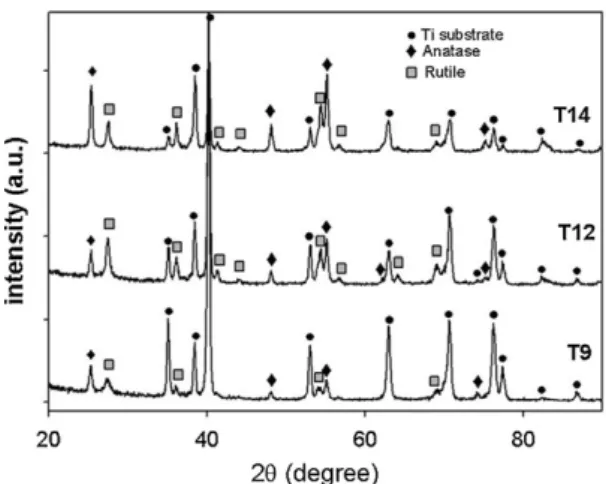 Fig. 2. GIXRD patterns of the TiO 2 ﬁlms deposited on Ti substrate.