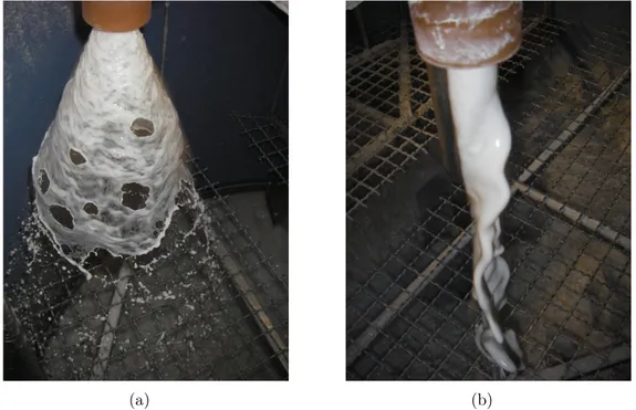 Figure 2.4: Photographies des deux types de décharges à la sousverse (a) en parapluie (b) en boudin.