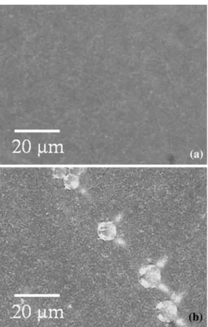 Fig. 8. Optical microscope images of PA-F: (a) as-deposited and (b) annealed films. Bar 20 lm