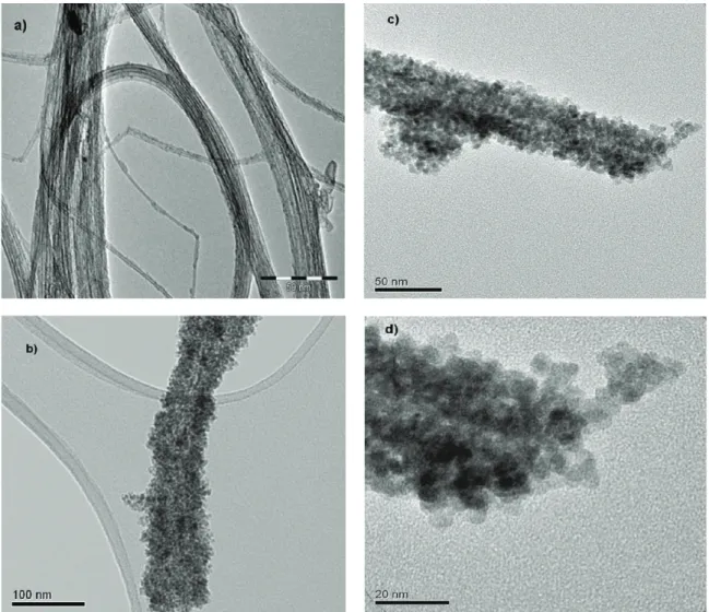Fig. 1. TEM images (5 wt.% sample). (a) Threads of initial DWNTs (before composite synthesis), bundle of nanotubes coated by ceria nanograins with its internal light grey zone: (b) and (c) for the x = 5 and 15 wt.% respectively; (d) detail of ending part o