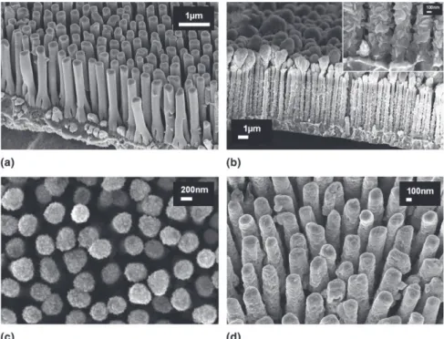 FIG. 1. (a) SEM micrograph of a raw Cu nanorods array and Sb electrodeposited onto arrays of Cu nanorods using different pulse conditions.