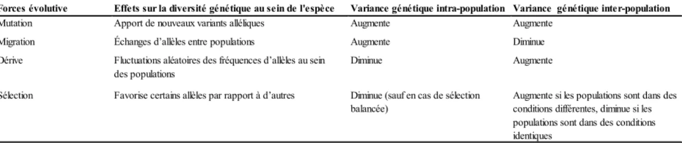 Tableau 1 : Effets des quatre forces évolutives modualnt la diversité génétique au sein des populations, inspiré de  Bergstrom &amp; Dugatkin (2012)
