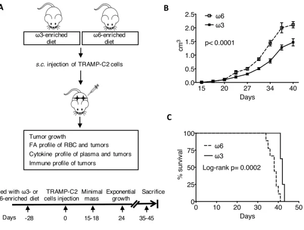 Figure 2.2: Effect of ω3 FA- versus ω6 FA-enriched diet on TRAMP-C2 tumor growth in  eugonadal mice