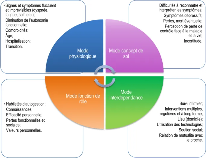 Figure 6. Stimuli ou difficultés d’adaptation identifiés à la lumière de la littérature empirique 