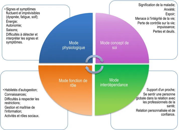 Figure 4. Stimuli ou difficulté d’adaptation identifiés par les personnes âgées et leurs proches 