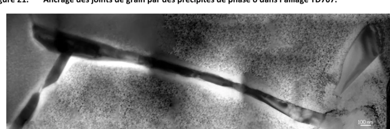 Figure 22.  Exemple  de  précipitation  intergranulaire  continue  de  phase  δ  dans  l’alliage  TD707