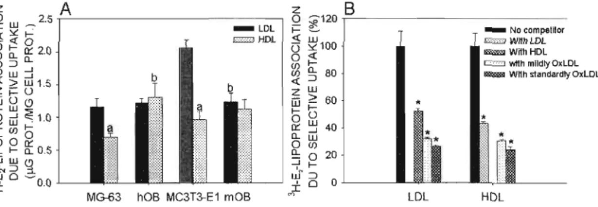 Figure  2.6:  Determination  of  the  uptake  mechanism  of  lipoprotein-associated  estradiol  by  osteoblastic  cells