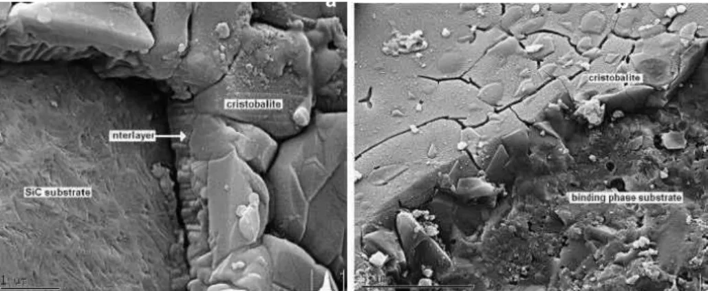 Figure I-45 : Réfractaire SiC-Si 3 N 4  : Micrographies de couches d’oxyde formées sur un agrégat de SiC(a)  et sur la phase liante (b) après oxydation à 1510°C pendant 8 heures (Horváth, E