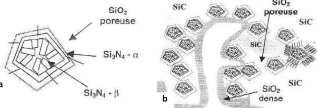 Figure I-47 : Modélisation phénoménologique de l’oxydation d’un réfractaire  SiC-Si 3 N 4  (a) à l’échelle d’un élément structurant et (b) à l’échelle d’un 