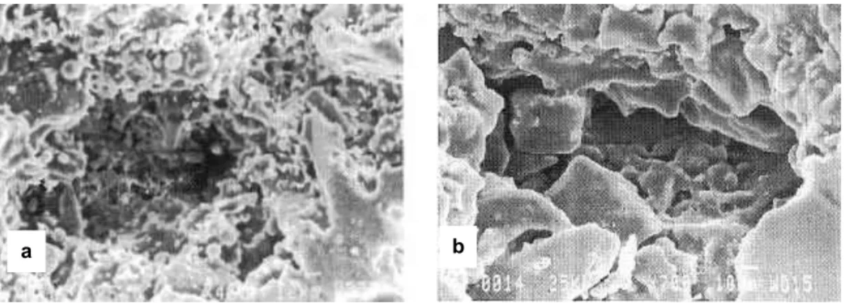 Figure I-50: Micrographies de réfractaires SiC-Si 3 N 4  oxydés à 1200°C sous air ambiant  après des durées d’exposition de 140h (a) et de 200h (b) (Gao, W