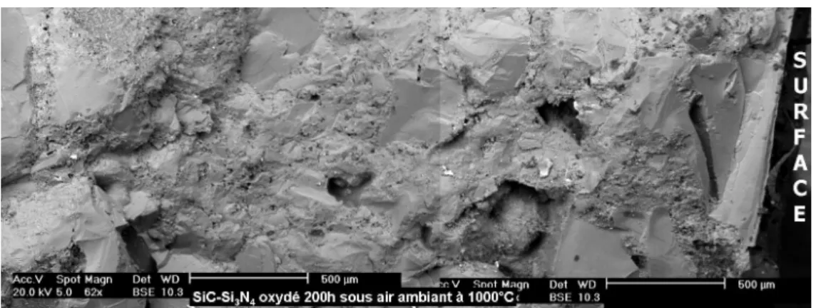 Figure III- 17 : Faciès de rupture d’une éprouvette de flexion 4-points du  matériau SiC-Si 3 N 4  (zone en traction), rompue à 20°C, après oxydation à 