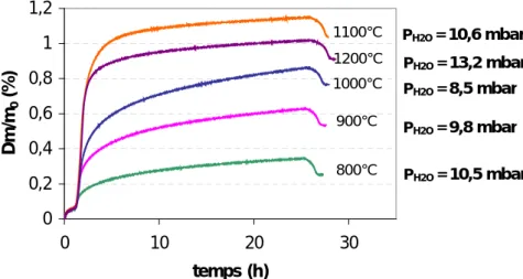 Figure IV- 7 : Cinétiques d’oxydation du matériau SiC-SiAlON par ATG lors  de  paliers isothermes entre 800°C et 1200°C, durant 24 heures