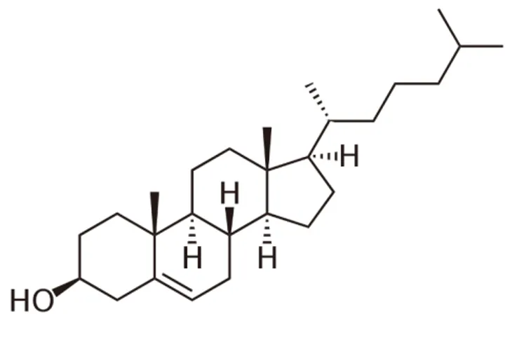 Figure 17 - Cholestérol 