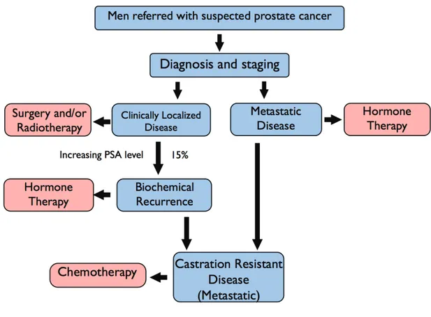 Figure 1.  Management of prostate cancer. 