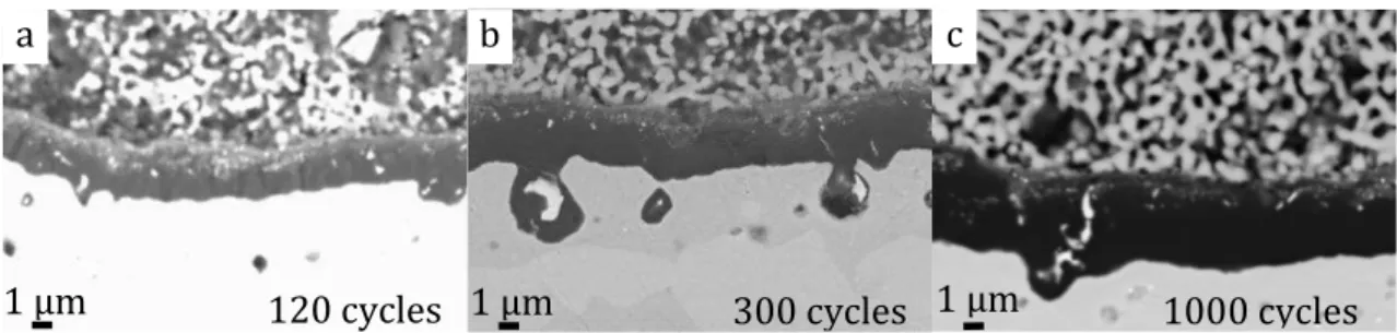 figure XV-2 : Evolution du TGO pendant le cyclage d’un échantillon 2/0 dopé avec 60 nm de hafnium 