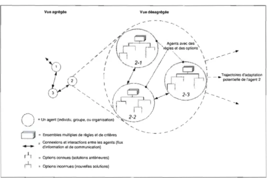 Figure 2  Configuration des systèmes complexes adaptatifs  (source: McCarthy et al., 2006, p