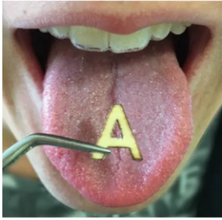 Figure 3: Identification de la lettre A [source personnelle]