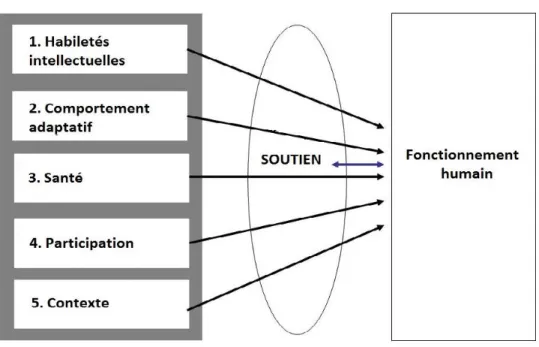 Figure 2 : Modèle théorique du fonctionnement humain 