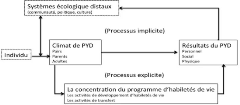 Figure 5. Adaptation (traduction libre) du modèle de développement positif à travers le sport de Holt  et al