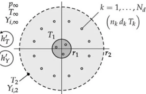 Figure 8 Computational domain for the numerical modeling of kernel growth.
