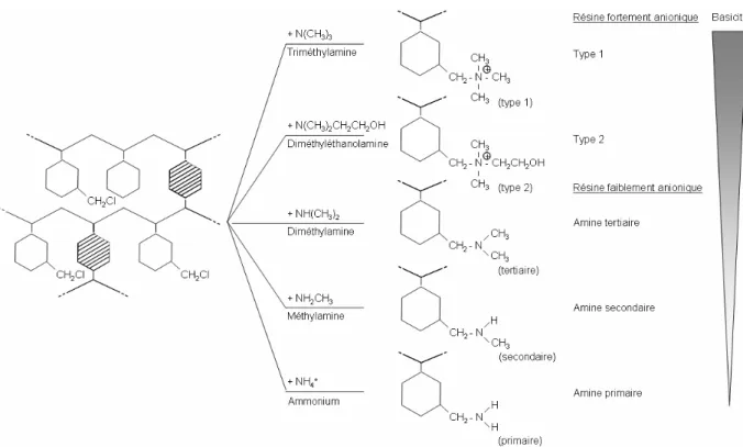 Figure 1.12 :  Préparation  d’échangeurs  d’anions  polystyréniques  de  basicité  décroissante  à  l’aide  de  différents groupements amines (De Dardel, 1998a) 