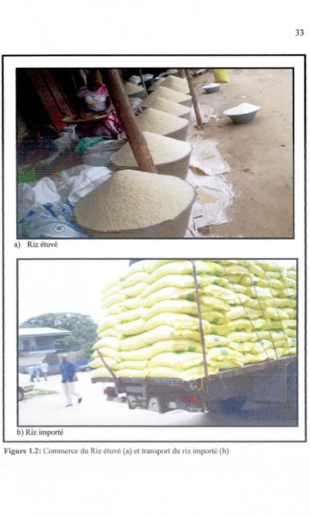 Figure i.2: Commerce du Riz étuvé (a) et tTansport du  riz importé (h) 