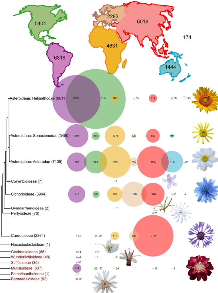 Fig. 1. Global distribution of Asteraceae species richness by continent and lineage. Circles are proportional to species number on continents of same color for each subfamily shown to the left (total number per subfamily in parentheses)