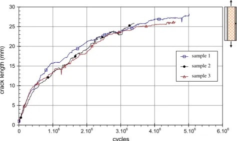 Fig. 10. Fatigue crack growth in [45] 2 laminates with two carbon strips.