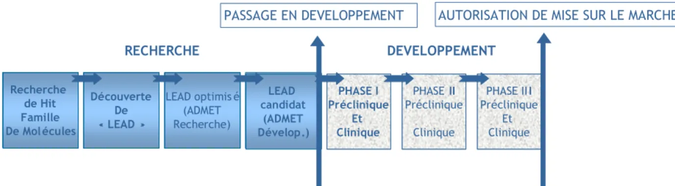Figure 3 : Différentes phases dans la recherche et le développement d’un médicament. [Peillon,  2009] 