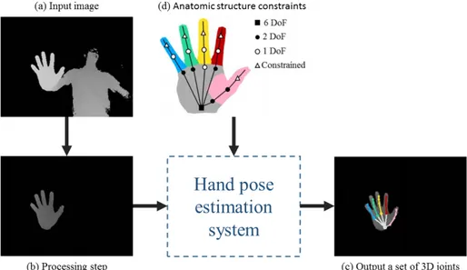 Figure 2.1 – Illustration of the hand pose estimation task. (a) from an input image and after (b) a pre-processing step, a hand pose estimation system is able to (c) output a set of 3D joints called together hand skeleton or hand pose based on (d) the anat