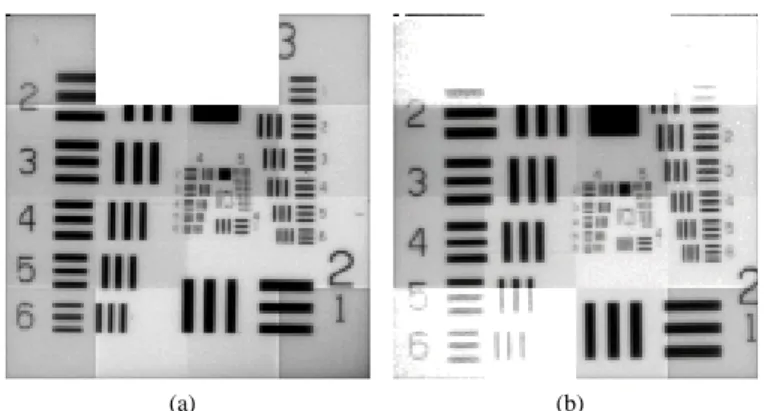 Fig. 8. Raw images, in electronic charge, of the 1951 USAF resolution test chart taken with APS1 after (a) 100 krad(SiO 2 ) and (b) 2.2 Mrad(SiO 2 ) with similar illumination condition and fixed integration time (8 ms)