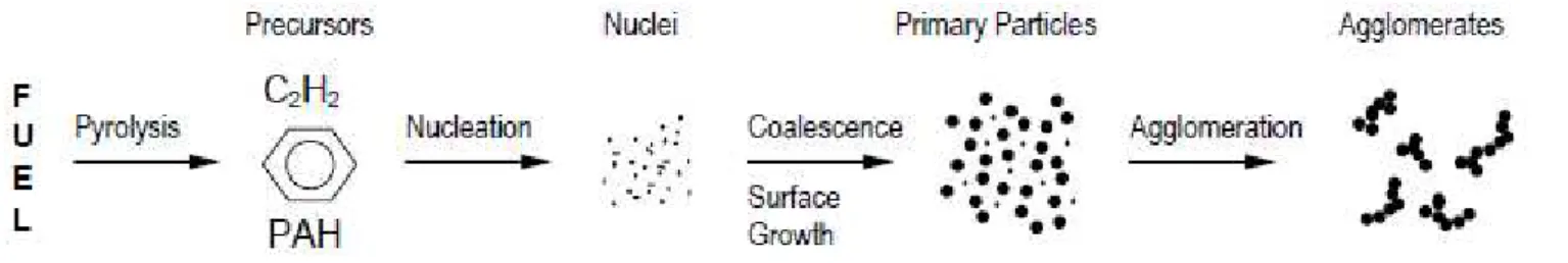 Figure  15  summarizes  the  soot  formation  process  from  the  fuel  pyrolysis  to  the  particles  agglomeration