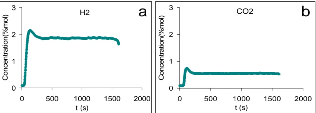 Figure 43. Measurement of the gas concentration of CO 2  by NDIR (a) and H 2  by TCD (b) 
