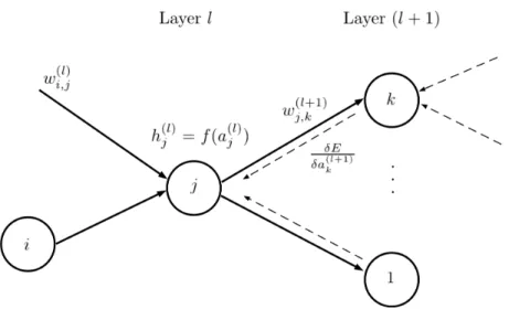 Figure 3.2: Illustration of Back-Propagation of errors for neuron j in layer l.