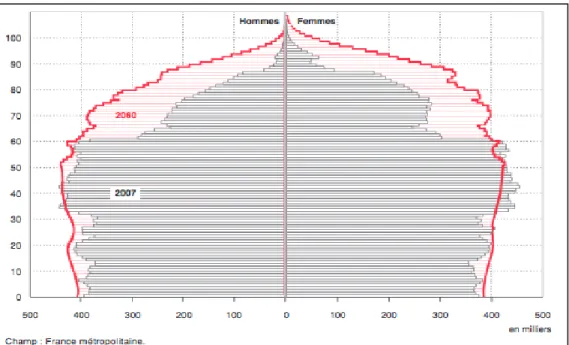 Figure 1.4 - Age structure in 2007 and 2060 according to INSEE study in 2010. 