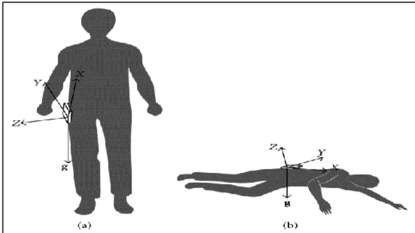 Figure 2.4 - Coordinate and gravity before and after falling. (a) Before falling. (b) After falling
