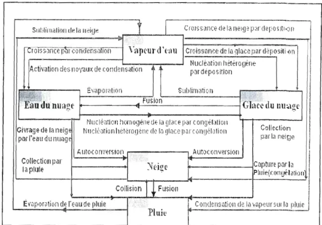 Figure 2.3  Processus  microphysiques dans  le  modèle local  du  climat  LCM  II. 