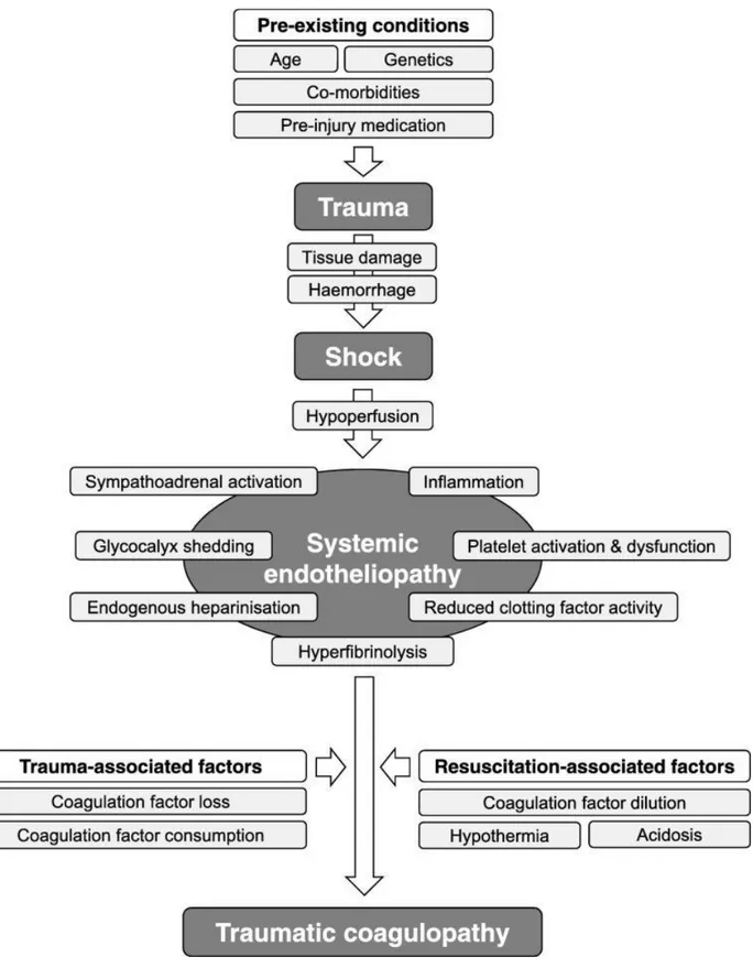 Figure 1 issue de la dernière mise à jour des recommandations sur la prise en charge du choc hémorragique  d’origine traumatique