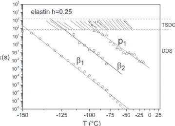 Fig. 9. Activation enthalpy of the elementary relaxation times s i of hydrated elastin (h = 0.25) deduced from the FP procedure as a function of the temperature of the peak