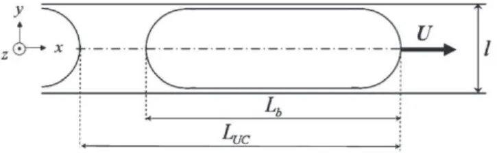 Fig. 4. Cartography of gas–liquid flows (in the horizontal plan Oxy defined in Fig. 3)