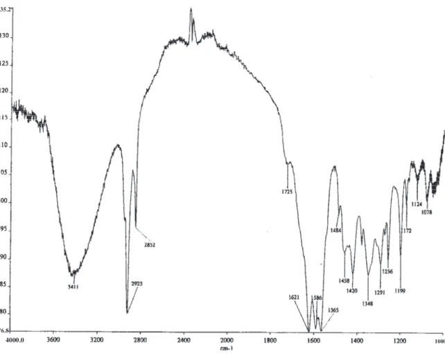 Figure 3. IR spectrum of the 170A2 molecule.  