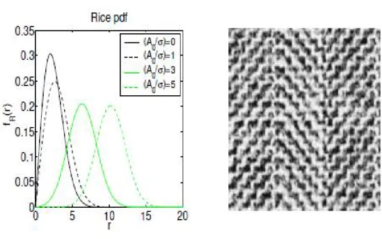 Figure 1.9: Première figure : Rice Pdf, Seconde figure : l’entrée de l’image de texture