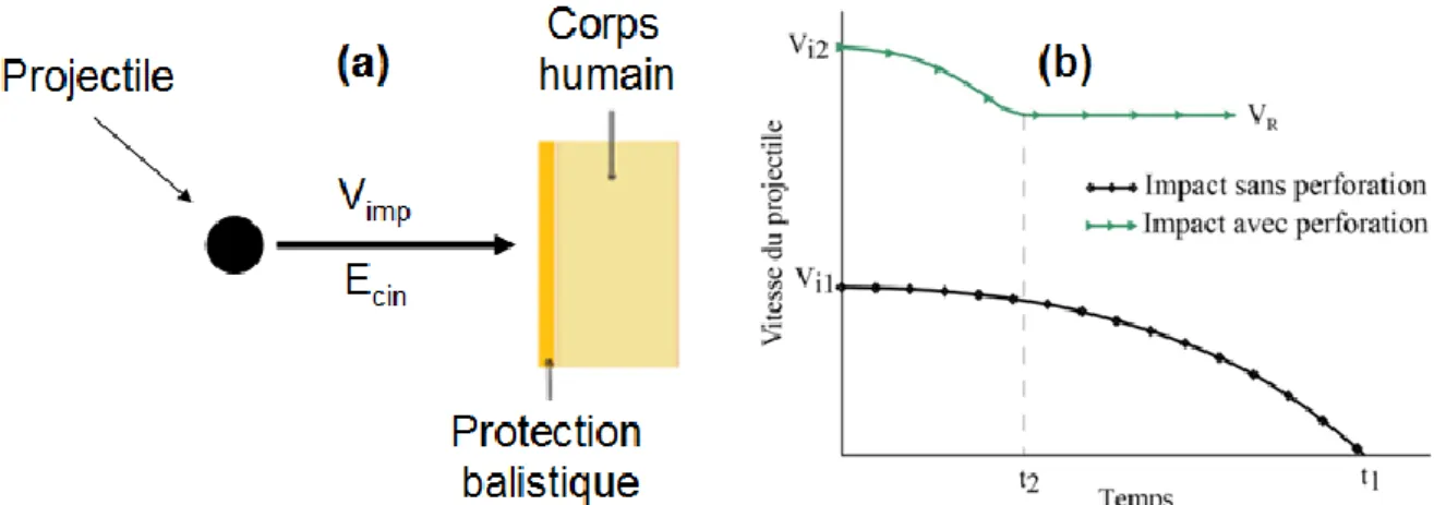Figure I.1. (a) Illustration des éléments impliqués dans les processus balistiques,   (b) évolution de la vitesse du projectile interagissant avec une protection en cas de 