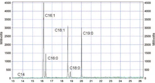 Fig. 1. Typical gas chromatograph analysis of the yeast membrane complex DMCS extracted by Soxhlet with organic solvent, after separation of phospholipids by dispersion in cold acetone.
