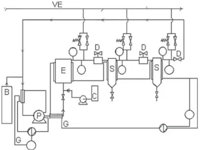 Fig. 2. Simplified flowsheet of the pilot SF 300: B, CO 2 cylinder; E, extractor; S, separators; P, pump; G, cooling and heating group; D, back pressure regulator valves;