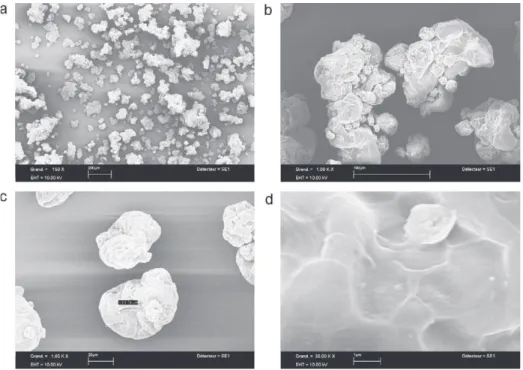 Fig. 5. SEM images of original yeast membrane complex DMCS. (a) Regular distribution of DMCS material with corrugated membranes