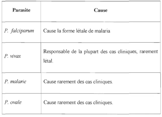 Tableau No.  1.  Espèces de  Plasmodium  causant des  maladies chez l'honune.. 