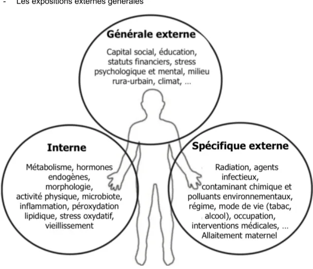 Figure 7 : Les trois différents domaines de l'exposome (61) 